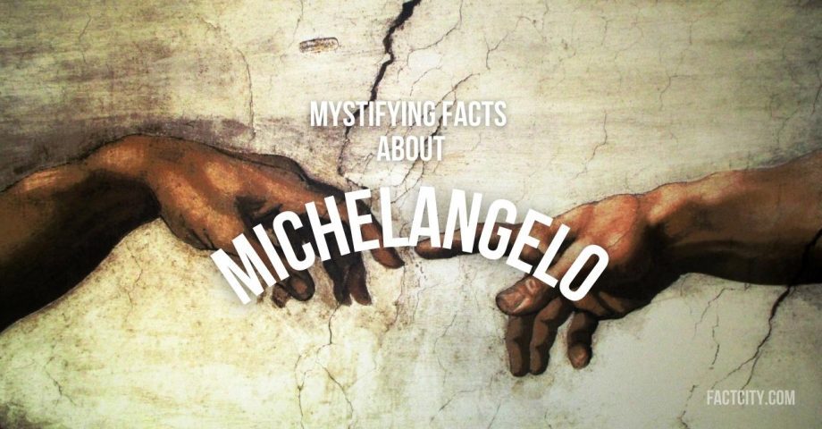 facts about MICHELANGELO
