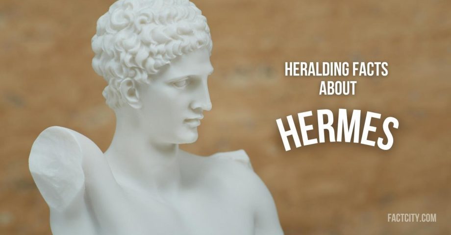 Hermes header