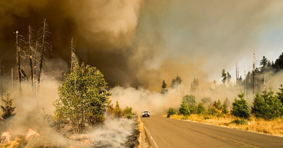 Australian wildfires