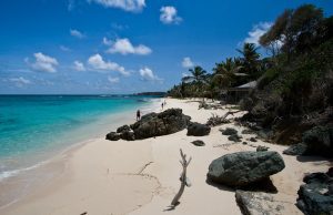 interesting facts about Mustique