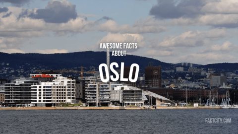 Oslo header