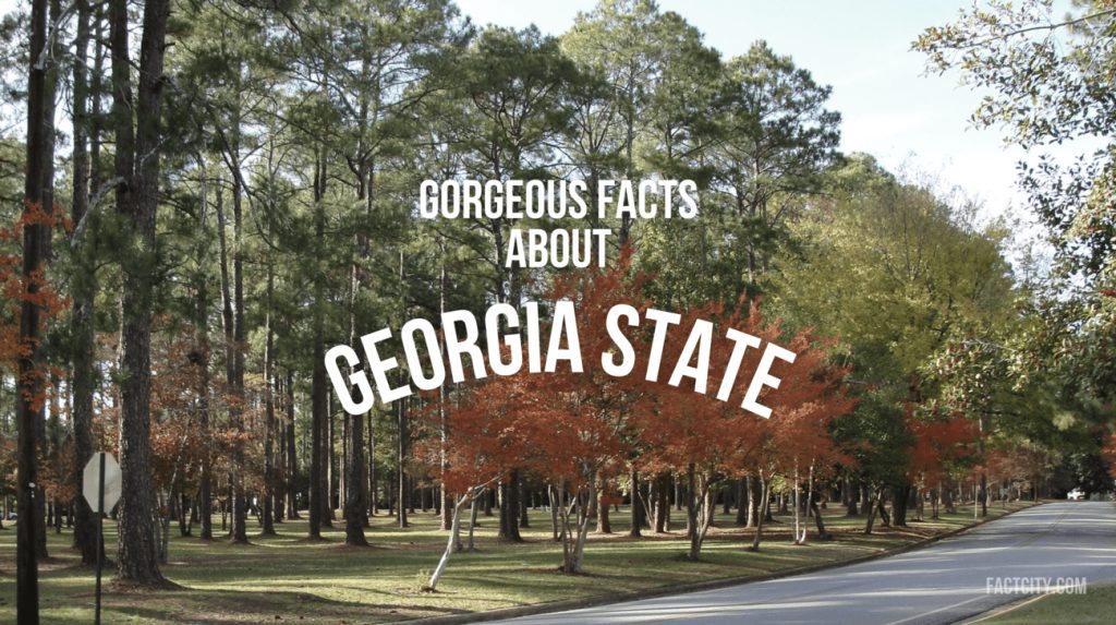 facts about georgia