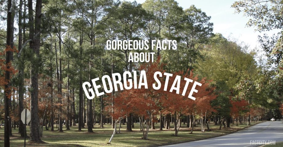 facts about georgia