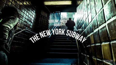 The New York Subway header