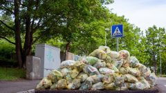 International Day of Awareness of Food Loss and Waste