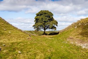 Facts about Hadrian's Wall