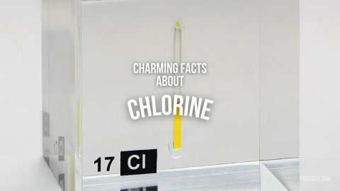 chlorine header