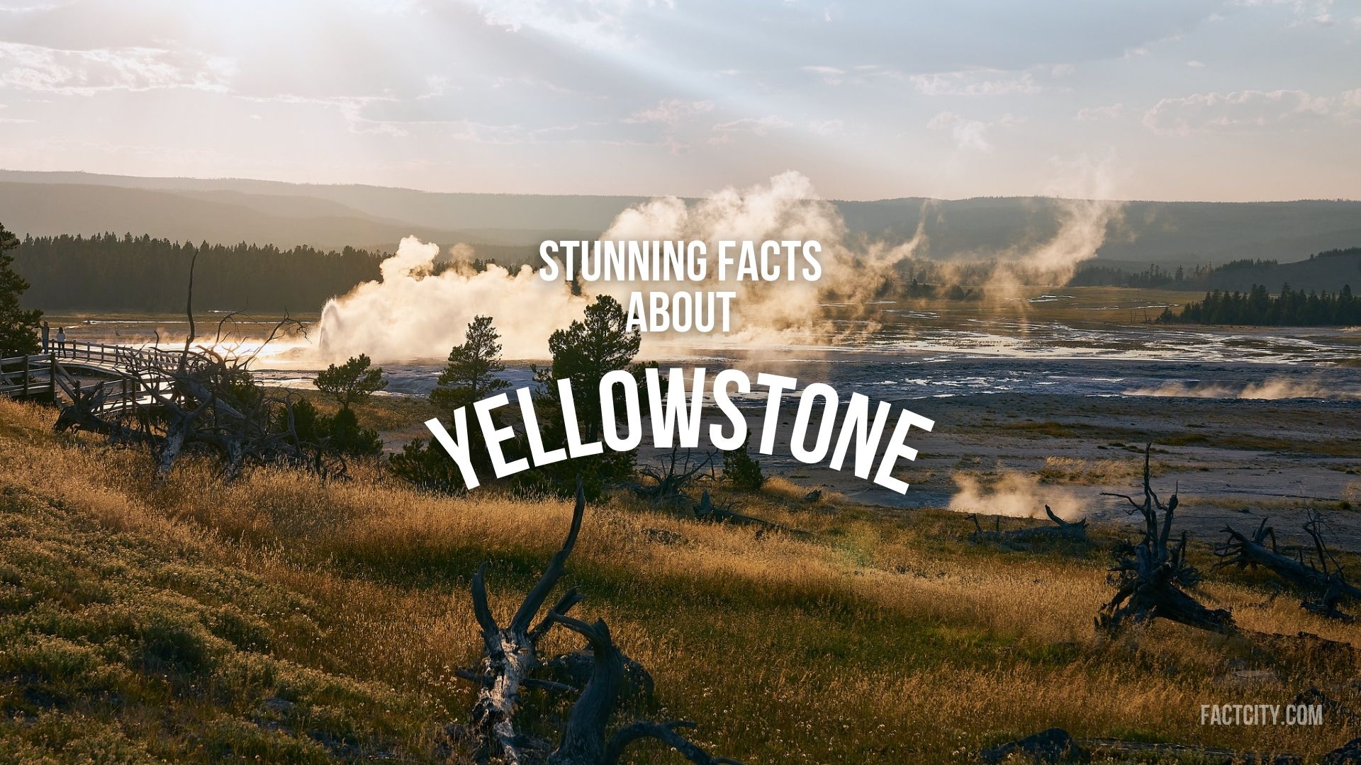 11 Stunning Facts about Yellowstone Fact City
