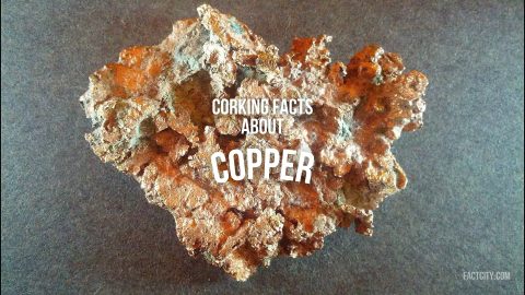 Copper header