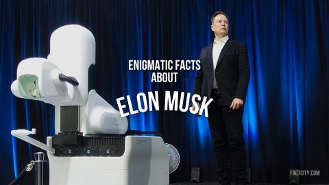 Elon Musk header