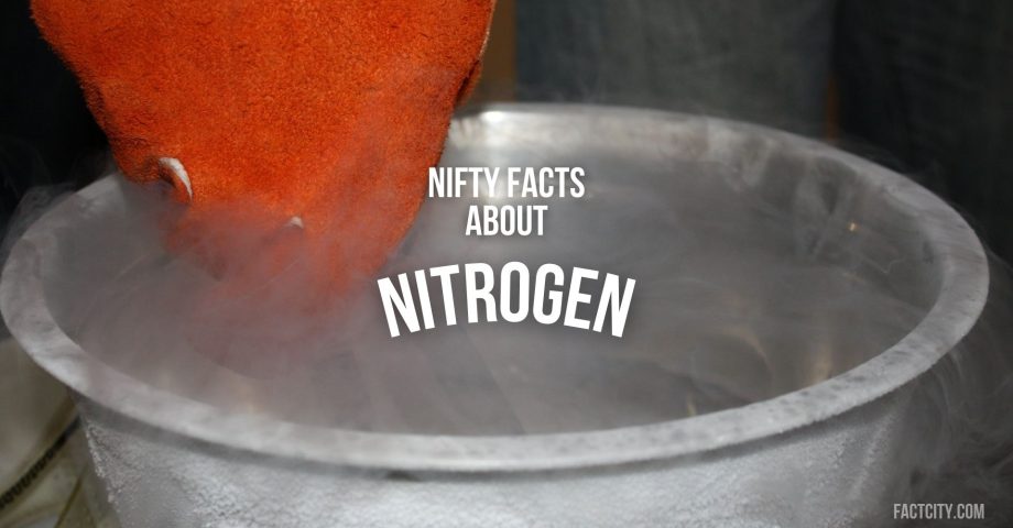 Nitrogen header