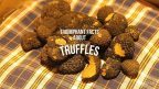 truffles header