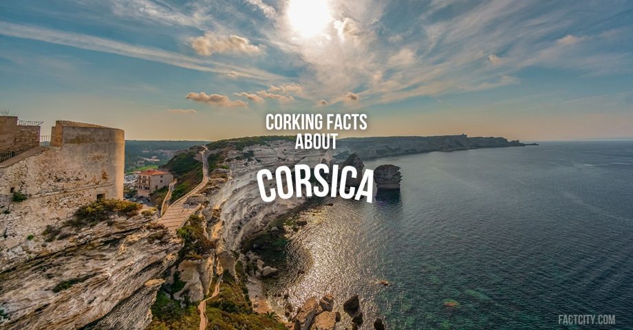 facts about corsica 1