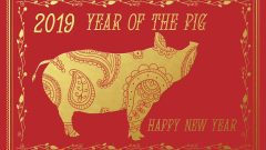 Chinese year of the pig - 2019