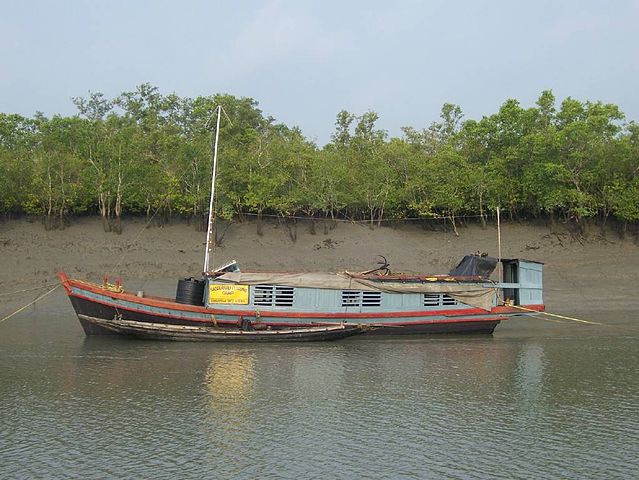 Boat patrol on Sundarbans