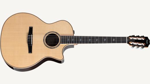 Nylon-stringed acoustic guitar